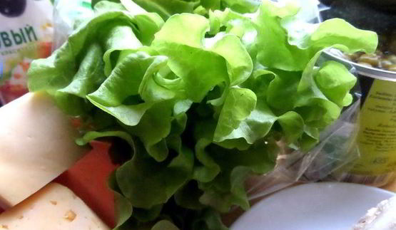 салат кочан капусты