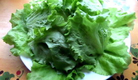 салат кочан капусты