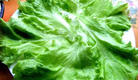 салат кочан капусты