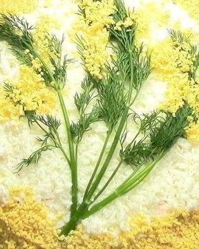 Мимоза с плавленым сыром