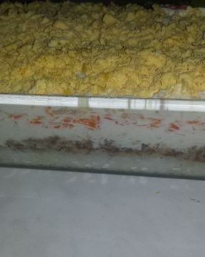 Салат Мимоза с тунцом, рисом и картофелем