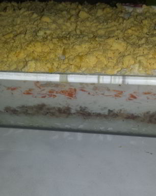 Салат Мимоза с тунцом, рисом и картофелем