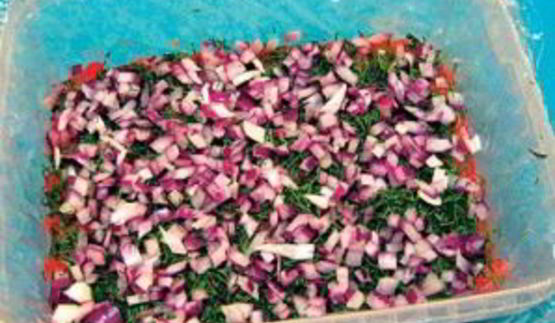 красная рыба под шубой салат