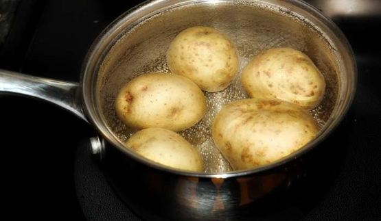 селедка под лисьей шубой