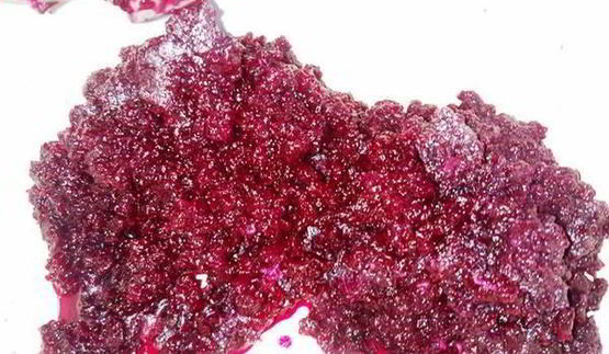 селедка под шубой в желе