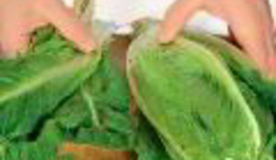 салат цезарь с индейкой на гриле