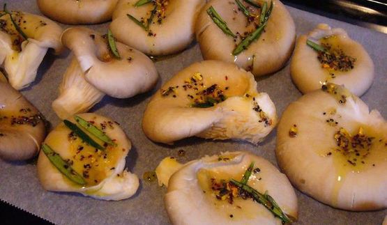 теплый салат с устричными вешенками и руколой