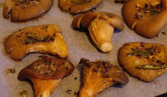 теплый салат с устричными вешенками и руколой