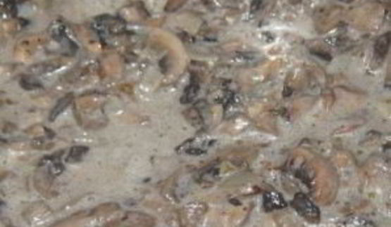 грибной соус из шампиньонов со сметаной