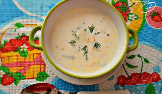 болгарский летний суп