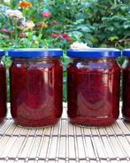 Заправка для борща на зиму с яблоками и болгарским перцем