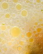 Мясной бульон с овощами