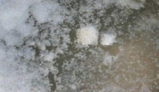 мясной бульон