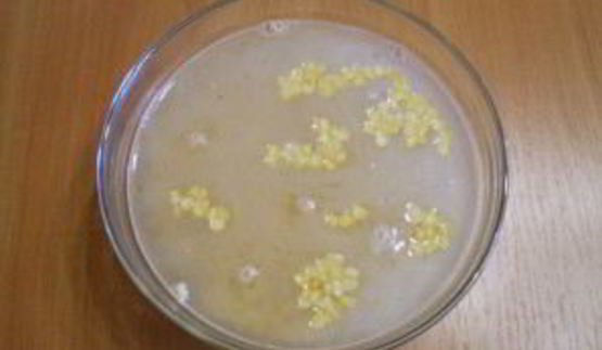 гороховый суп с курицей в мультиварке