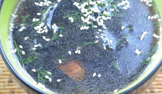 холодный суп из морской капусты