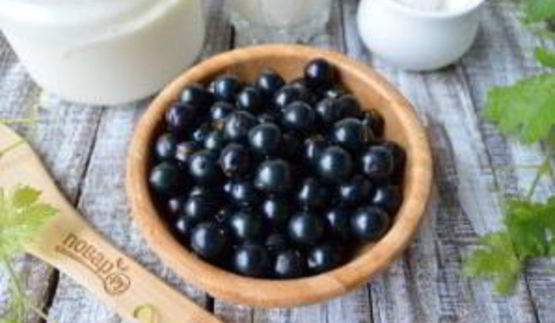 сладкий холодник