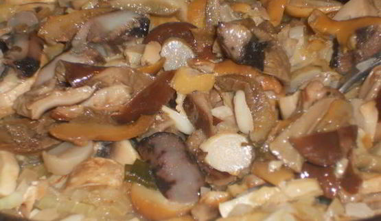 молочный суп с грибами