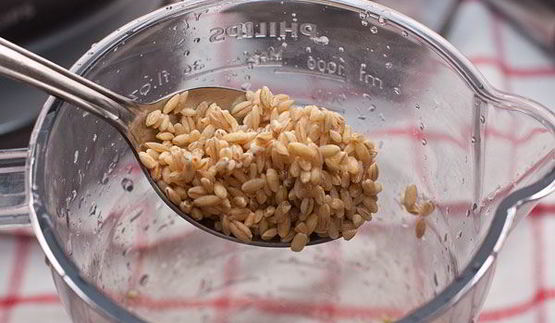 минестроне