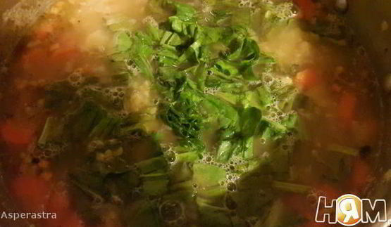 чечевичные зеленые щи