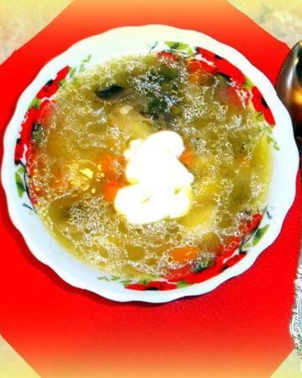 Рецепт грибных щей из квашеной капусты