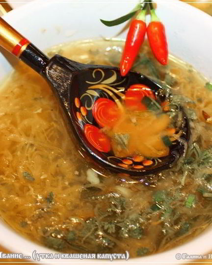 Рецепт щей из квашеной капусты с уткой