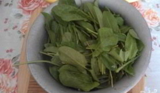 щи из щавеля с мясом