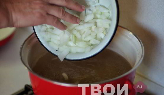 щи из щавеля