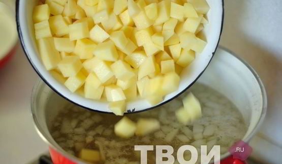 щи из щавеля