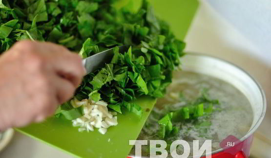 щи из щавеля