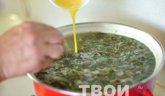 щи из щавеля