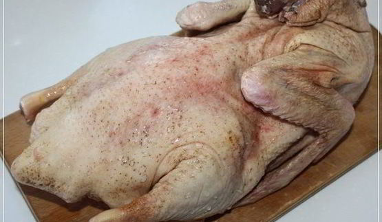 щи кислые с уткой