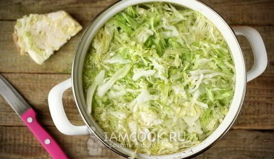 щи с говядиной