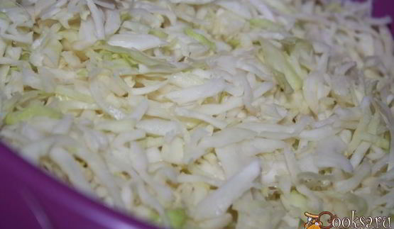 щи со свежей капустой и свиной грудинкой