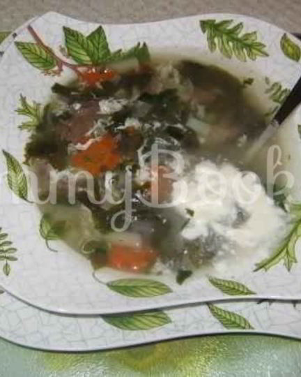 Рецепт щей зеленых