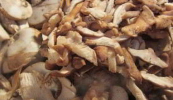 сливочный грибной суп