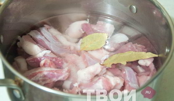 солянка грузинская