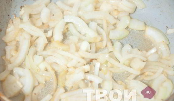 солянка грузинская