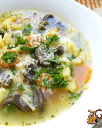 Рецепт супа из лесных грибов и вермишели