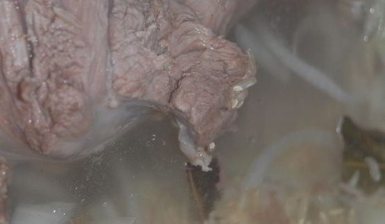 харчо из баранины