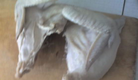 харчо из курицы