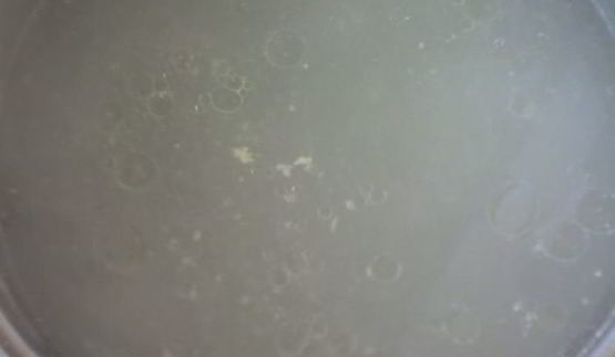 харчо из курицы