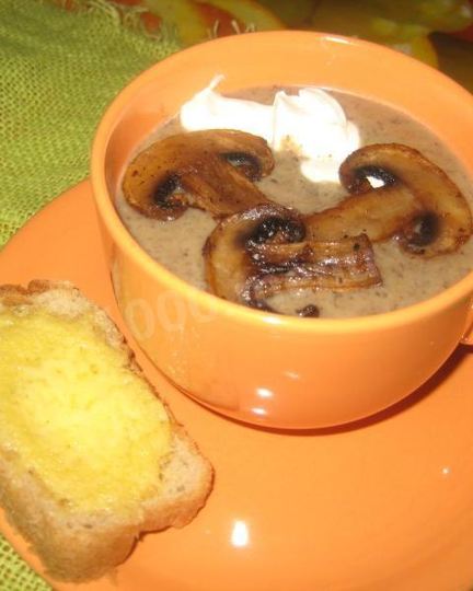 Рецепт грибного супа-пюре на молоке из свежих грибов