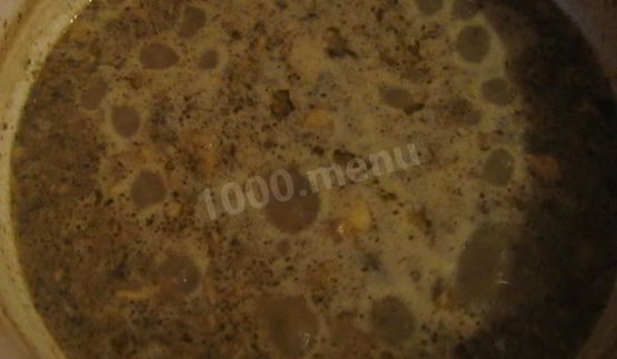 грибной суп-пюре на молоке из свежих грибов