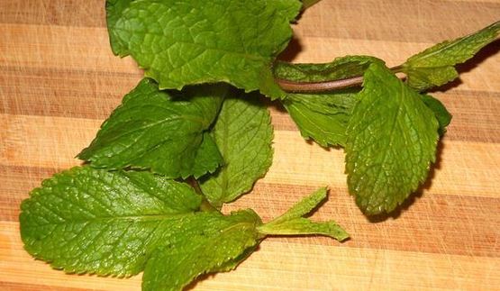 холодный мятный суп-пюре с яблоком и огурцом