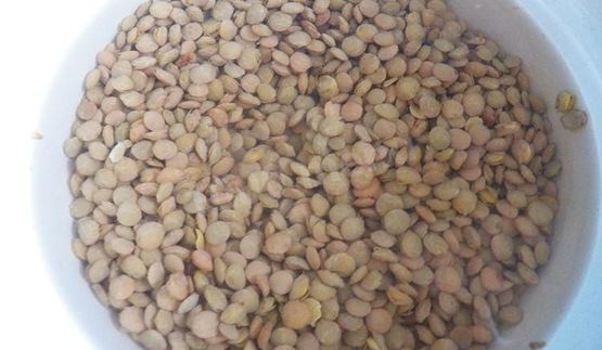 конский щавель — суп-пюре из авелука