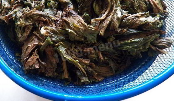 конский щавель — суп-пюре из авелука