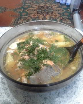 Домашняя уха