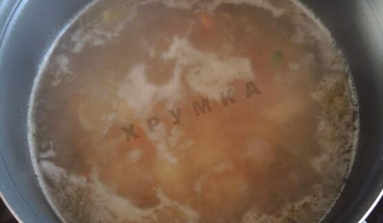 рыбный суп уха из красной рыбы