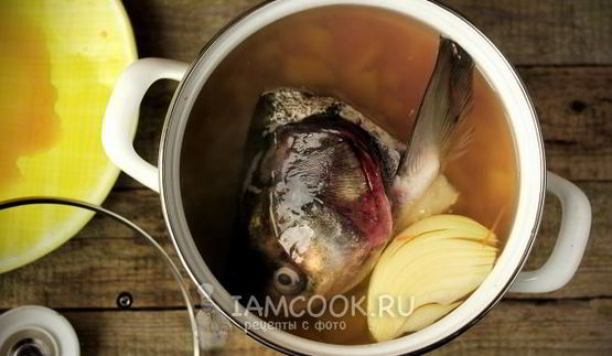 уха из головы толстолобика