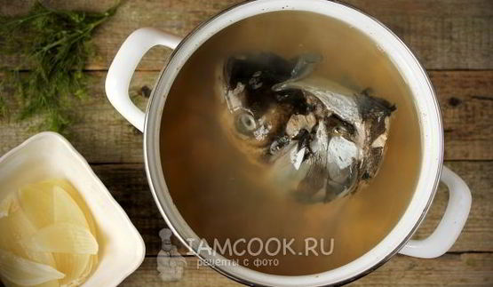 уха из головы толстолобика